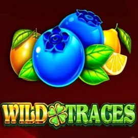 Enjoy Wild Traces by Amusnet Interactive – logo hosted on lizarocasinonl.nl